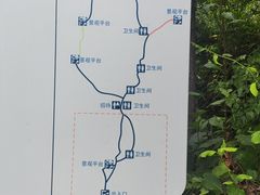 -大岭沟猕猴桃谷风景区