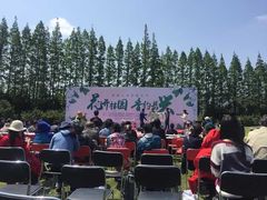 -上海长兴岛郊野公园