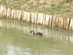 -中国药科大学（江宁校区）-图书馆