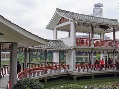 -晓港公园