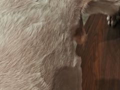 -汤姆宠物(长青北路店)