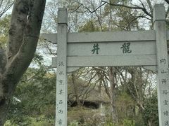 -龙井村