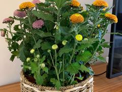 -梵舍·沙浴养生SPA