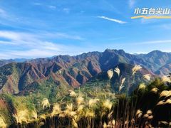 -秦岭风景区