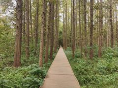 -同里国家湿地公园