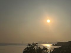 -深圳湾公园(南山区)