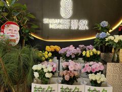 -狮拾久·现代新加坡料理(福田COCO Park店)