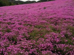 -昆嵛山石门里景区
