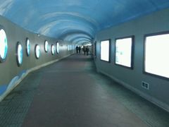 -鸿山公园