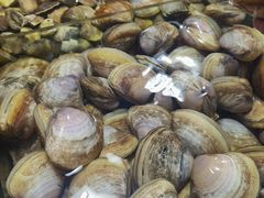 贵妃螺-万尾农贸市场