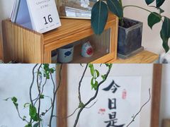 -团子君寿司·茶