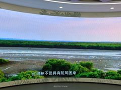 -东寨港红树林旅游区