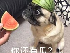 -蜀九香火锅(李家沱店)