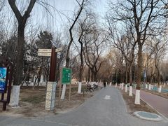 -大兴滨河森林公园