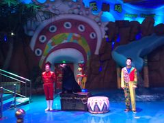 -烟台海昌鲸鲨海洋公园