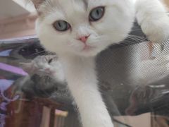 -斯普瑞斯奥特莱斯