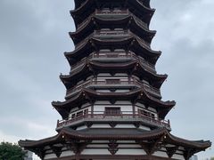 -洋湖国家湿地公园