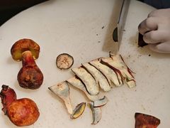 -蘑界·野生菌火锅(深业上城店)