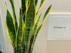 -秦美花卉(天朗·莱茵小城2期店)