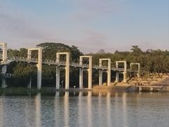 -东莞植物园