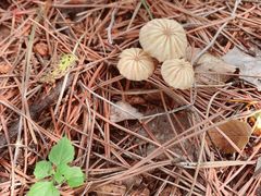 -沈阳辉山风景区