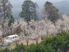 -樱桃山旅游景区