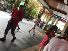 -呀诺达热带雨林