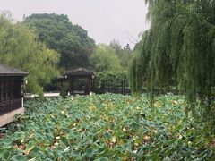 -常熟方塔园