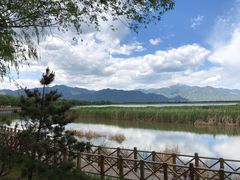 -野鸭湖国家湿地公园