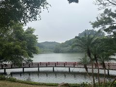 -东莞塘厦三正半山温泉酒店·沙利文西餐厅