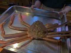 -綱元·海鲜豆捞(明州里店)
