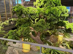 -渔傅·霞浦滩涂海鲜(建平店)