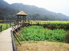 -广州市石门国家森林公园