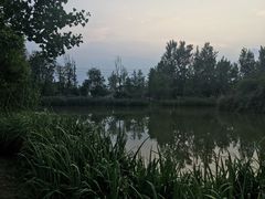 -白鹭湾湿地公园