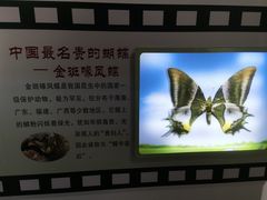 -上海昆虫博物馆