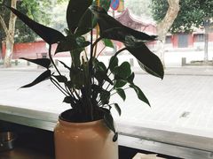 景观位-下面馆