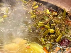 -洪大厨鸡煲(福田店)