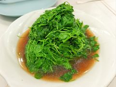 -海金滋(陕西南路店)