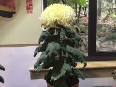 -汇龙潭