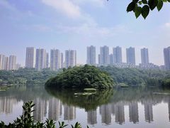 -重庆彩云湖湿地公园