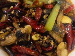 火爆鱿鱼-三哥田螺(北书院街店)