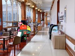 -北京德尔康尼骨科医院