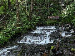 -峡谷浮石林景区
