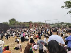 -枫香湖儿童公园