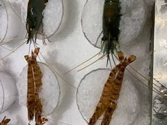 -雍和会海鲜姿造自助(湖东路店)