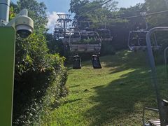 -圣淘沙天际线斜坡滑车