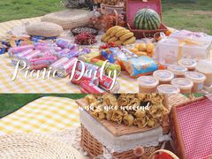 -上海共青森林公园