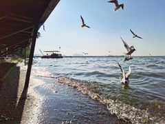 -滇池海埂公园