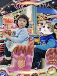 -哈尼兔儿童游戏乐园(沈阳大东龙之梦店)