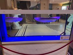 -白玉兰酒店(上海田子坊马当路地铁站店)